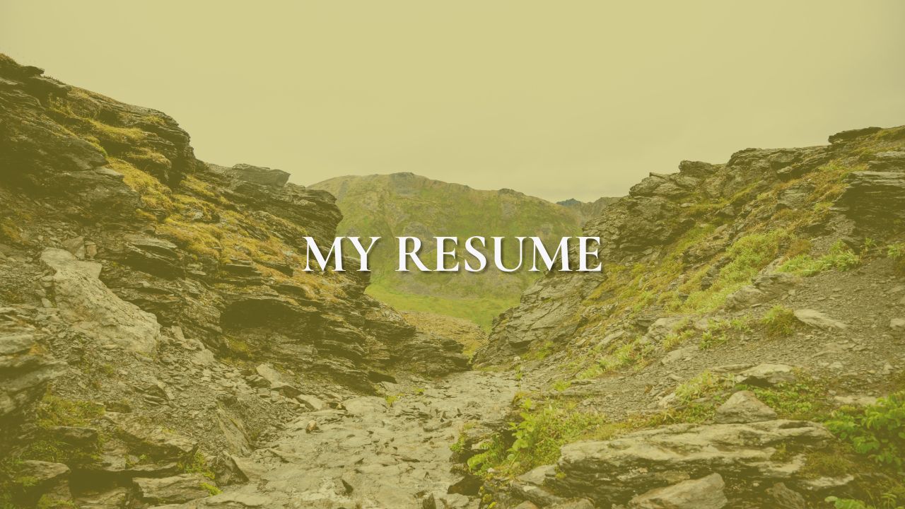 My Resume